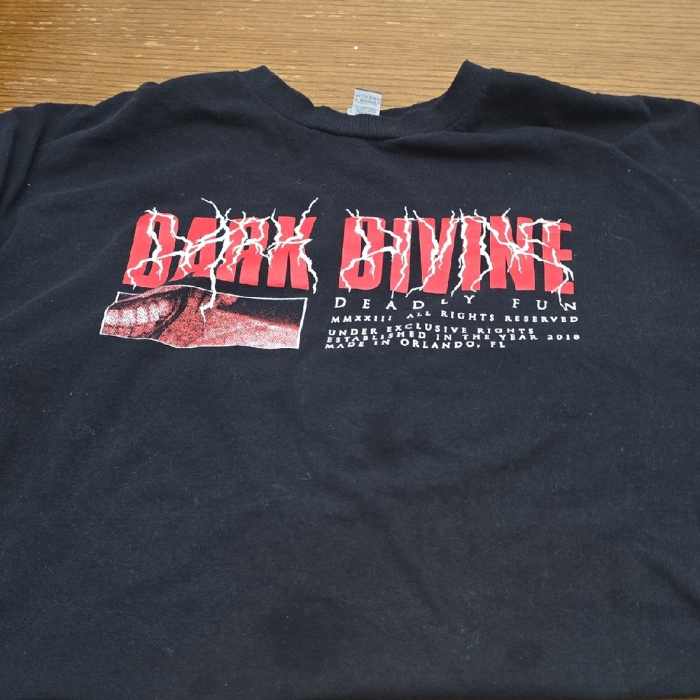 Dark Divine Concert Shit